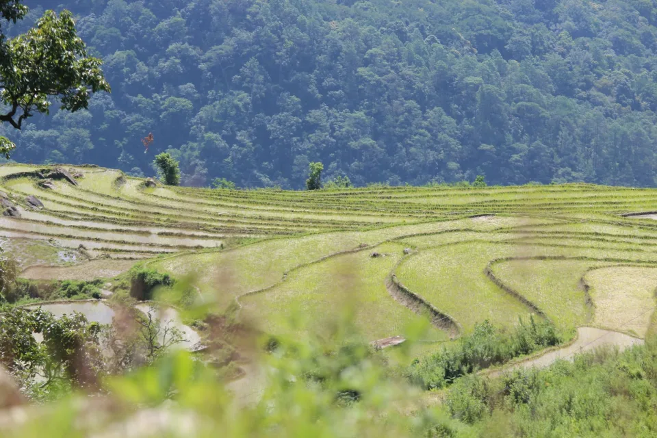 Kho gạo của Hoàng Đình Mai
